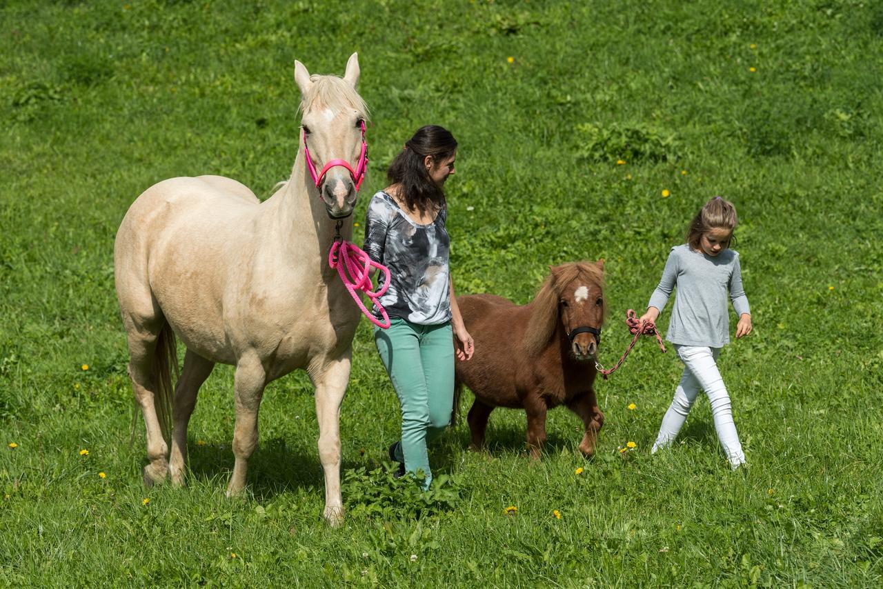 Tschötscherhof 3*